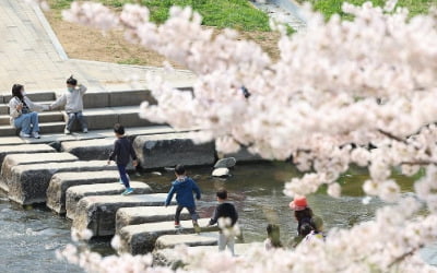 맑고 포근한 사전투표 둘째 날…큰 일교차·안개 유의