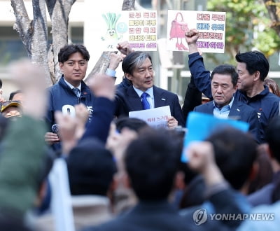 조국 "범야권 200석에 특검법 되면 김건희씨 법정에 설 것"