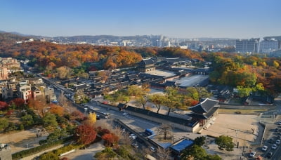 자연과 어우러진 창덕궁의 매력…나무와 꽃 이야기 들으며 관람