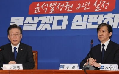 [4·10 총선] '압승' 민주·'돌풍' 조국당, 협력 속 경쟁관계 관측