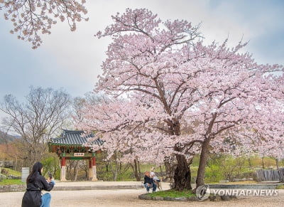 금요일 대부분 지역 낮 25도 안팎…일교차 15~20도로 커