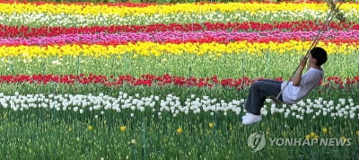 이번 주말은 '초여름'…일요일 서울 낮기온 30도 육박