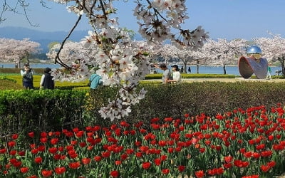 전국 맑다가 밤부터 흐려져…낮 최고 30도