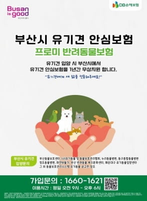 부산시, 입양 유기견 보험 무료 지원…질병·상해 보장