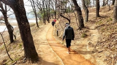 맨발 걷기 열풍에 호응한 충주시…'맨발 걷기 10선' 조성