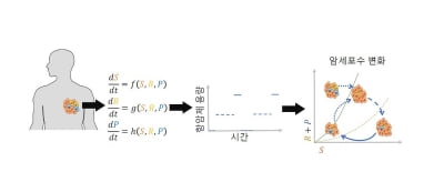 최적 항암제 투약용량·기간, 내성 고려 수리모델로 예측한다