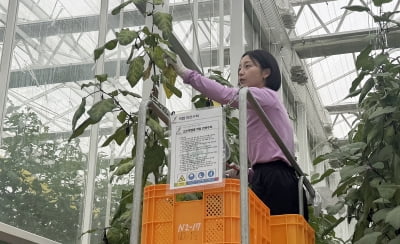 [2024 와이팜 엑스포] ① 억대 매출 여성농사꾼 변신한 이소임씨