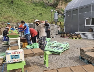 [2024 와이팜 엑스포] ⑤ 요리사 경력에 토마토 재배 홍종민씨