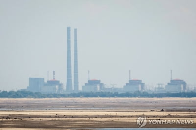 또 자포리자 원전 드론 공격 시도…IAEA "극도로 우려"