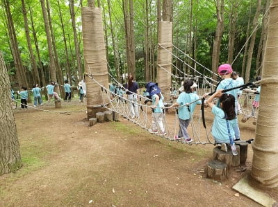 성남시, '숲속 힐링' 프로그램 운영…유아숲 체험·산림치유
