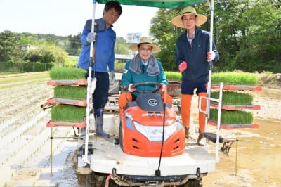 "풍년 기원합니다" 울주군, 두서면 농가서 올해 첫 모내기