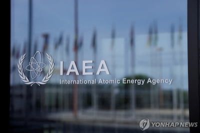 IAEA "이란 내 핵시설 피해 없다…상황 면밀 주시"