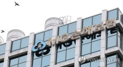 MG손해보험 예비입찰에 사모펀드 2곳 참여…"유효경쟁 성립"