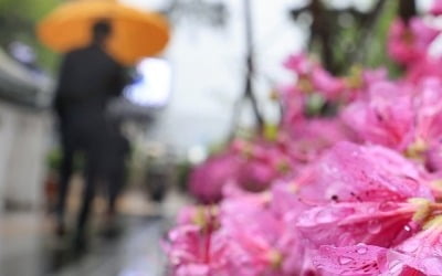 토요일 전국 흐리고 비…제주는 천둥·번개 동반 '강한 비'