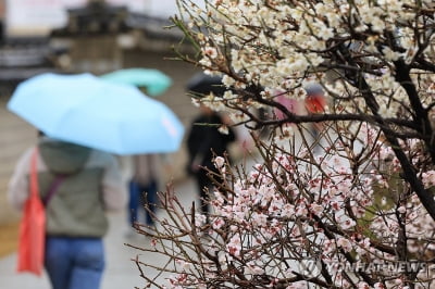 전북 흐리고 비…예상 강수량 5∼20㎜