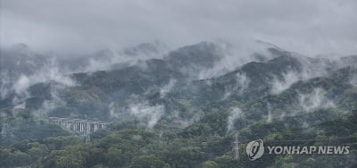 [내일날씨] 전국 흐리고 곳곳 비…낮 최고 14∼23도