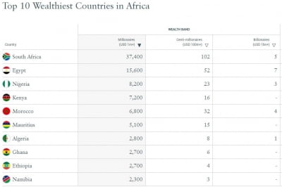 "아프리카 백만장자 남아공에 가장 많이 거주"