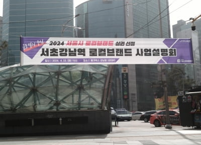 "서초강남역을 서울 대표 글로컬상권으로"…서초구 설명회 개최