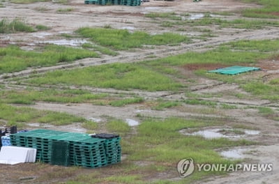 세계스카우트연맹 "새만금 잼버리 파행, 과도한 정부 개입 탓"(종합)