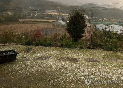 강원 흐리고 5∼20㎜ 비…남부지역 우박 주의