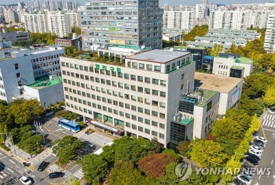 양천구, 전국 지자체 최초 '이른둥이 RSV 예방접종비' 지원