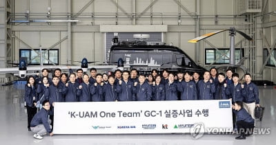 현대차, 국내서 한국형 UAM 상용화 첫 실증…"성공적 완수"