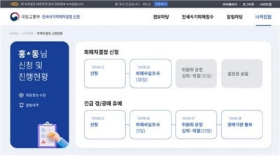 전세사기 피해자 결정신청, 내일부터 온라인으로도 가능