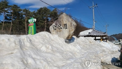 국도 42호선 정선 임계∼동해 신흥 착공…백복령 구간 터널화