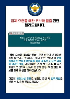 김제서 '애완용 코브라 탈출' 소문 확산…경찰 "관련 신고 없어"