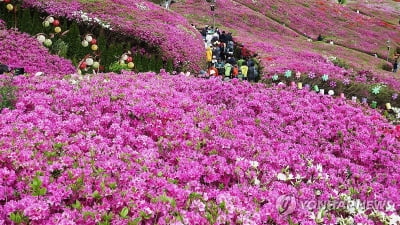 [날씨] 낮 최고 18∼27도…강원 영동·경북 황사 영향