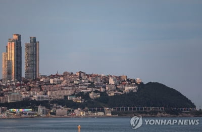 부산 해운대 달맞이에 '자연주의 공원' 조성 추진