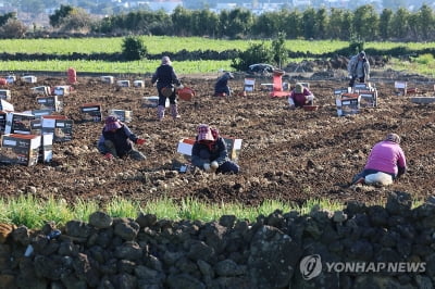 농식품부, 22개 시군과 농촌협약…5년간 5천549억원 지원