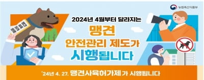 내일부터 맹견 기르려면 시장·도지사 허가 받아야