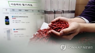 사슴태반 줄기세포 캡슐 34억원어치 밀수입한 업자들 징역형