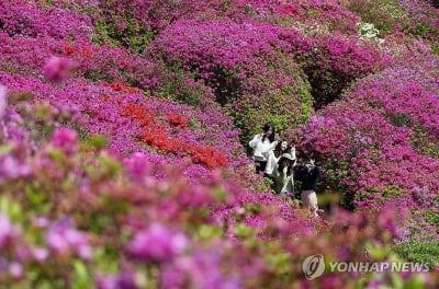 내리쬐는 햇볕에 낮최고 서울 26도·대구 27도 예상…오존 짙어