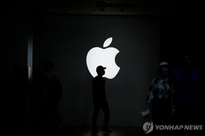 "애플, 오픈AI와 아이폰용 생성형AI 논의 재개"