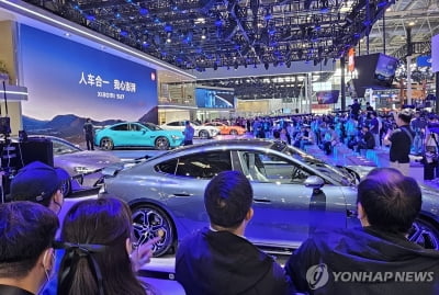 '보조금드립니다, 우리 차 사세요'…중국 전기차경쟁 '점입가경'
