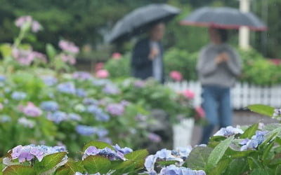 전국 구름 많고 남부지방 중심으로 곳곳 비