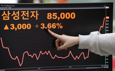 삼성전자 날아오르자…보름 새 1억7000만원 벌어들인 임원