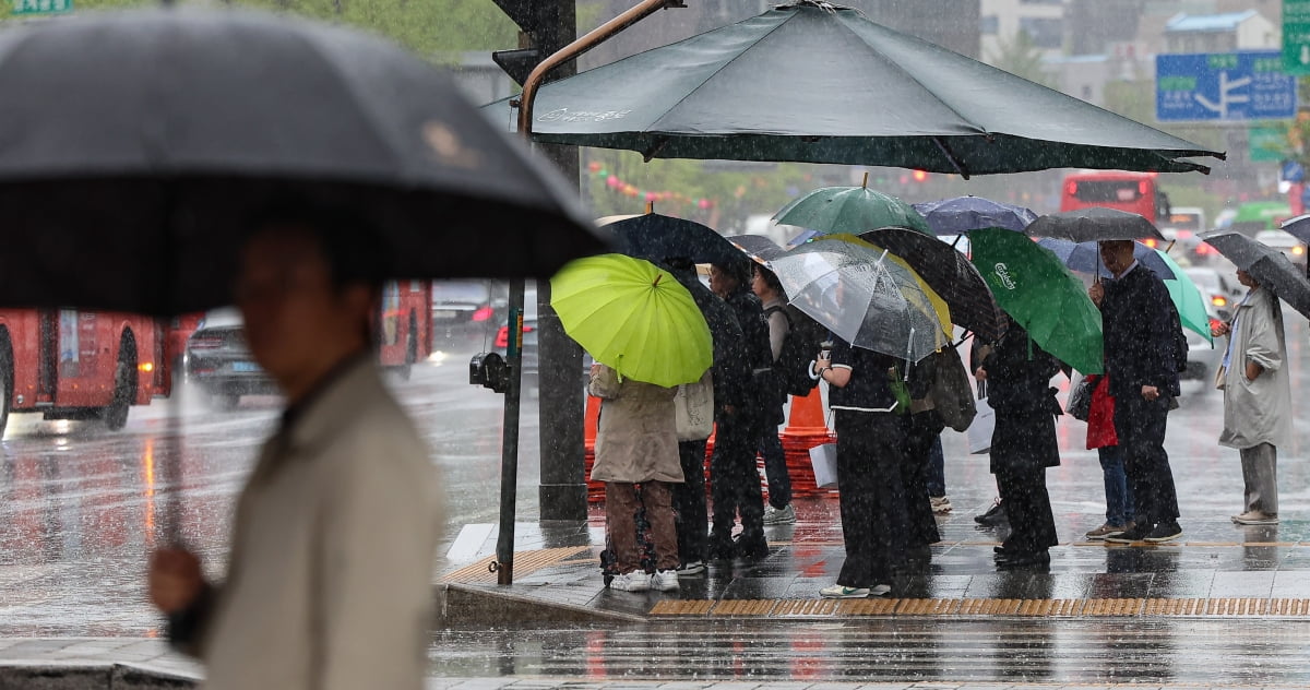 15일 오전 서울 광화문광장에서 우산을 쓴 시민들이 발걸음을 옮기고 있다. /사진=뉴스1