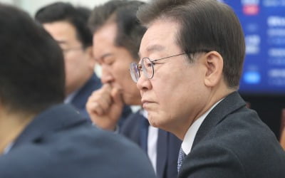 "이재명 연임!"…입김 세진 개딸들, '당대표 요청 대회' 연다