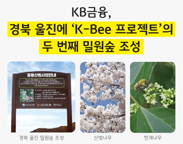 KB금융, 식목일을 맞아 경북 울진에 ‘K-Bee 프로젝트’의 두 번째 밀원숲 조성