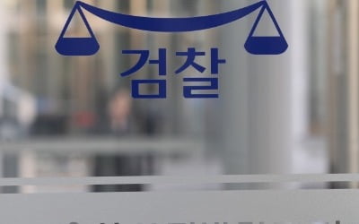 독립운동가 홍보영화 보조금 '뻥튀기'…김희선 전 의원 재판행