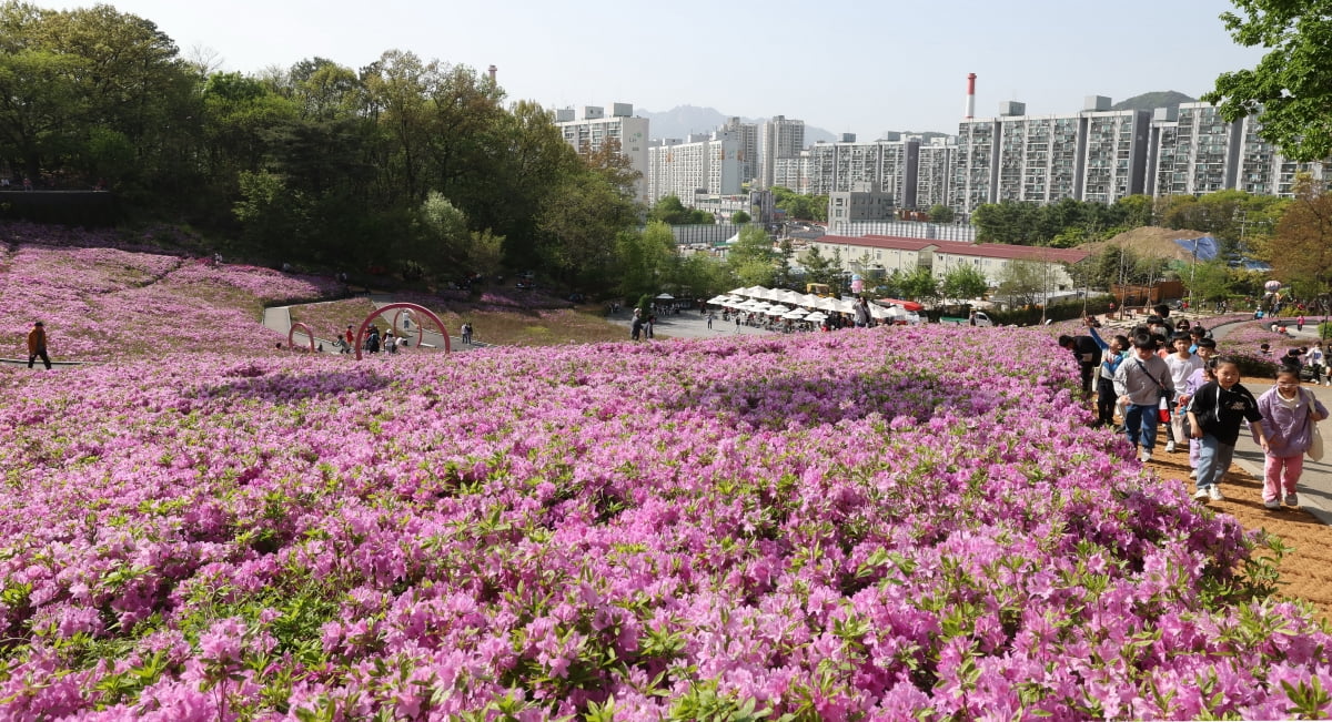 전국 대체로 흐린 날씨…낮 최고 기온 16∼25도