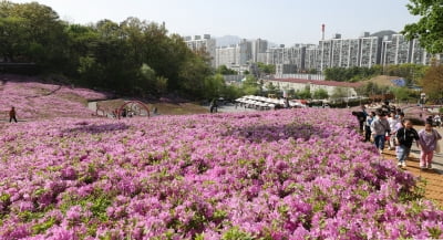 카지노 가입머니 대체로 흐린 날씨…낮 최고 기온 16∼25도