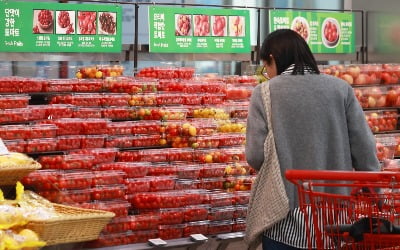토마토 할인행사 쏟아지더니...방울토마토 가격, 작년보다 두배 올랐다 [양지윤의 왓츠in장바구니]