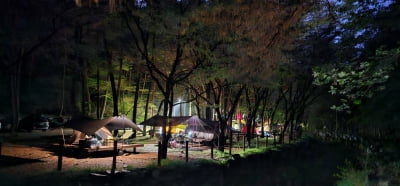  “피톤치드 산림욕 즐기세요”…국립자연휴양림 야영장·경관 개선