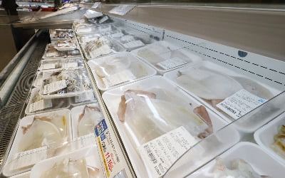 "오징어·명태 가격 뛸라"…정부, 수산물 비축물량 5000t 푼다