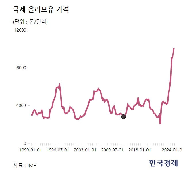 [단독] 올리브유 가격 '역대급' 치솟았다…"미리 사둘 걸"