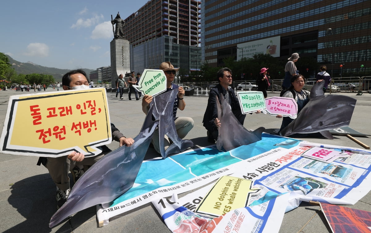 [포토] 수족관 돌고래를 바다로 